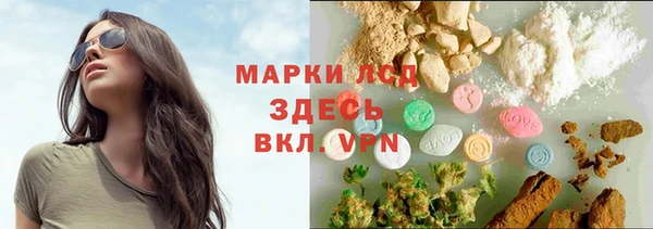 PSILOCYBIN Абаза