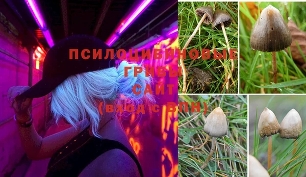 PSILOCYBIN Абаза